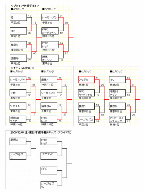 20091122result